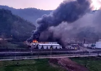 Trabzon'da balık fabrikasında yangın!