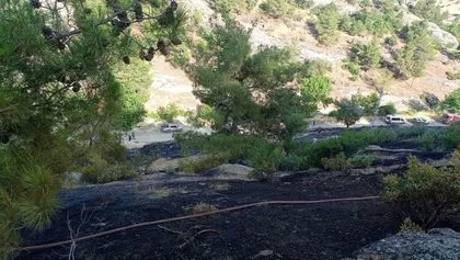 Kahramanmaraş’taki orman yangınının nedeni ortaya çıktı! Torpil şakası 80 hektarı küle döndürdü
