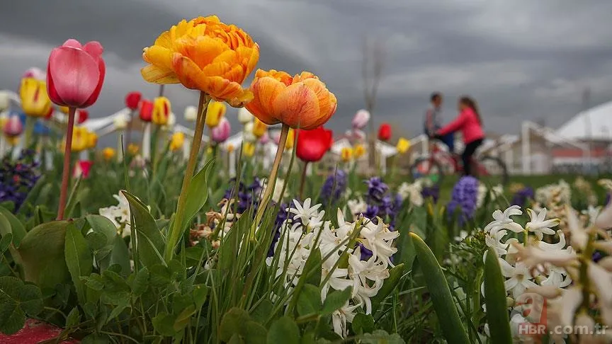 İsminizin ilk harfi kişiliğinizi belirliyor! İsmi A, B, F, K, S harfleriyle başlayan kişilerin özellikleri neler? İşte isim kişilik testi 21