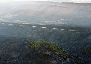 Çanakkale'de yanan bölgeler havadan görüntülendi! Acı bilanço gün ağarınca ortaya çıktı
