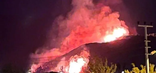 İzmir'de korkutan orman yangını