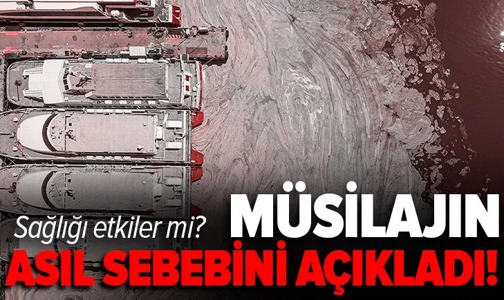 Müsilaj neden olur? Müsilajın asıl sebebi nedir? İnsan sağlığını etkiler mi?