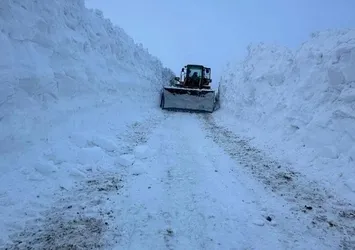 Van'da mahalle yoluna çığ düştü!