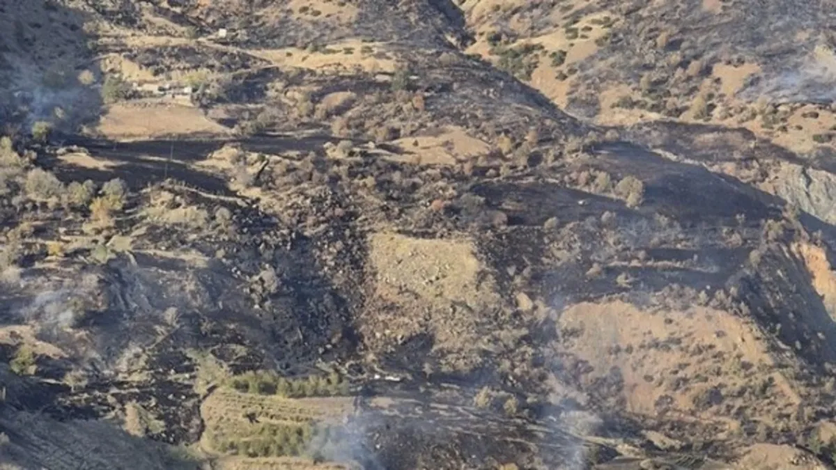 Kahramanmaraş'ta orman yangını!