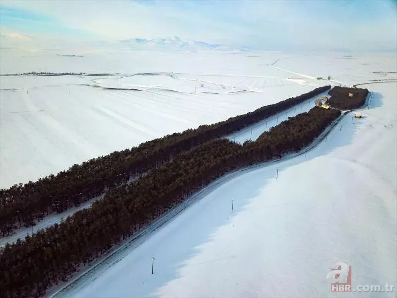 Bozkırın ortasında yemyeşil doğa! Hayran bırakan görüntüler 7