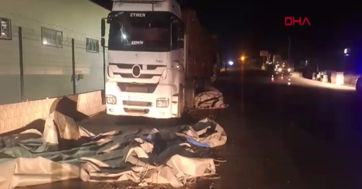 TIR'daki brandayı katlarken canından oldu