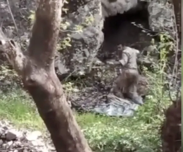 Son dakika: Pençe-Kilit Operasyonu'ndan yeni görüntü: Mağarada kıskaç! Teröristlerin yakalanma anları böyle görüntülendi - 2