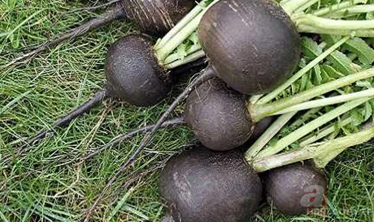 Öksürük ve bronşit için neler tüketilmeli? 10