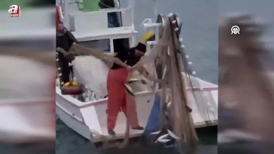 Sinop’ta balıkçılar bir gecede 3 bin 200 palamut avladı