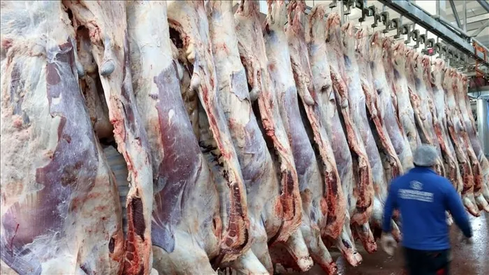 Kırmızı et üretiminde yüzde 8,8’lik artış