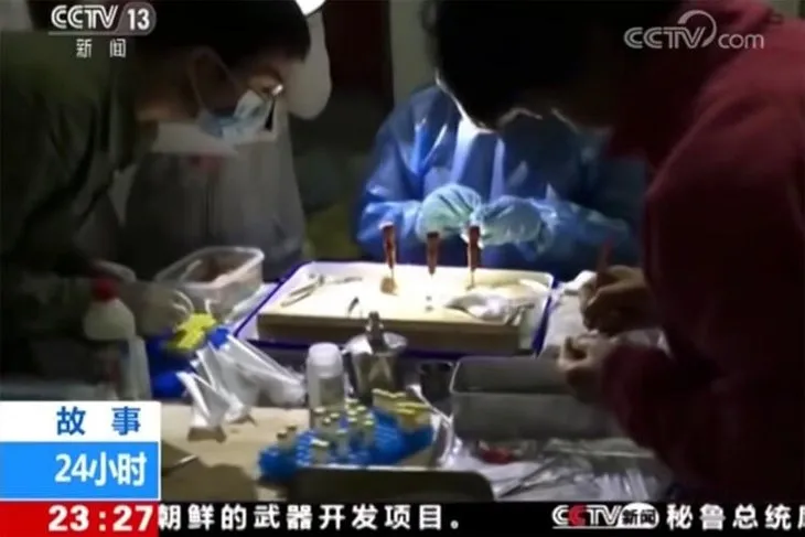 Son dakika: Koronavirüsün ortaya çıktığı Wuhan’dan şoke eden görüntüler! Yarasanın ısırdığı an kamerada!