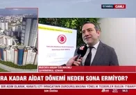 Site aidatlarına devlet neşteri!
