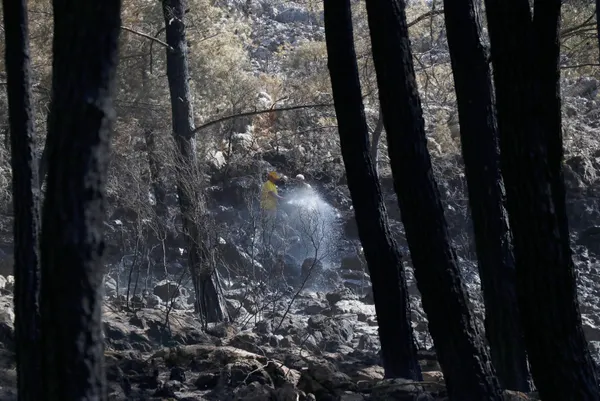 vatandaslar-yardima-kostu-fethiyede-dikkat-ceken-goruntuler-1627722137206.jpg Vatandaşlar yardıma koştu! Fethiye'de dikkat çeken görüntüler - 2