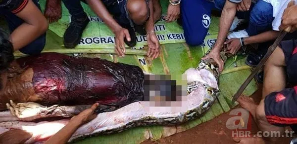 Dev piton 54 yaşındaki kadını yuttu! İşte kan donduran görüntüler 4