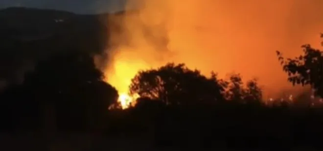Balıkesir'de orman yangını!
