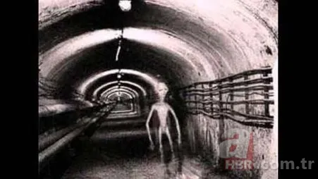 Mars'ta 'Ayı' keşfedildi! NASA o görüntüleri paylaştı 12