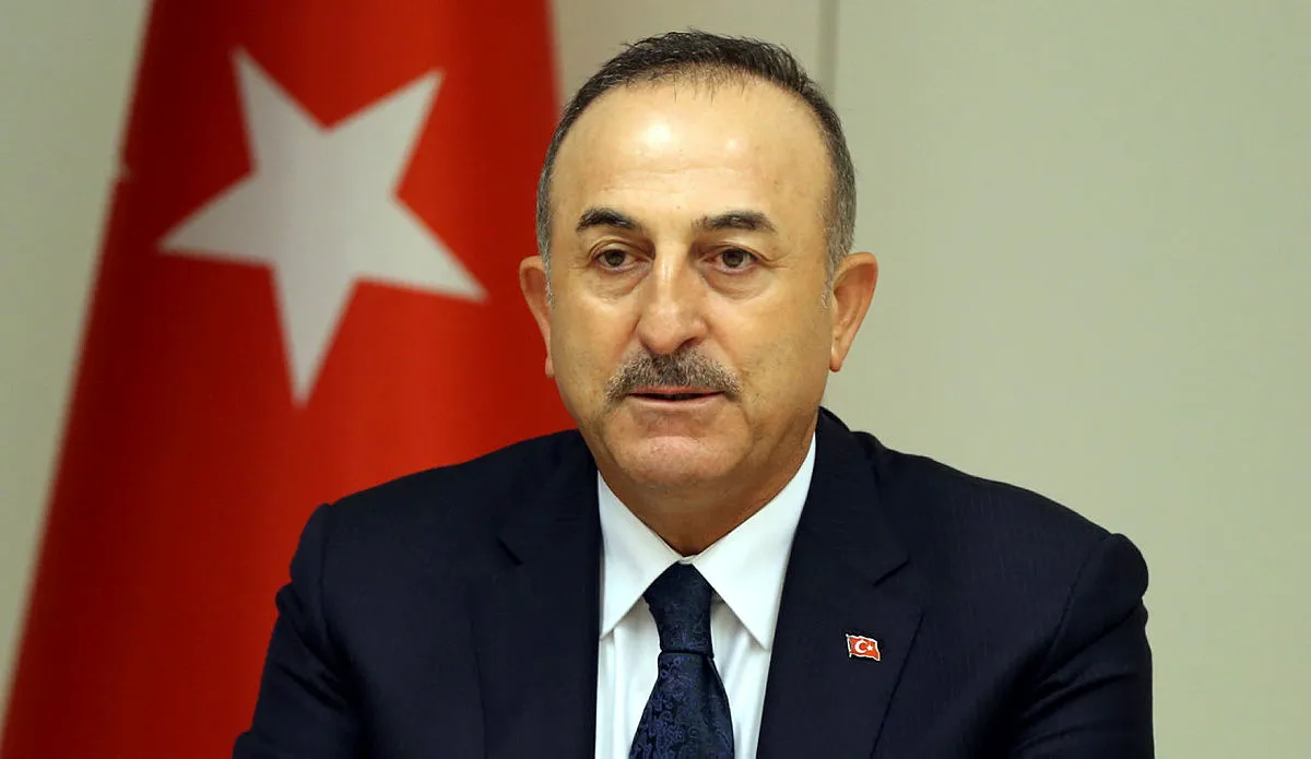Bakan Mevlüt Çavuşoğlu açıkladı! Yurt dışında yaşayan Türk vatandaşlarına ehliyet müjdesi