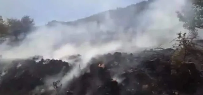 Son dakika: Mersin’de orman yangını! Havadan ve karadan müdahale ediliyor