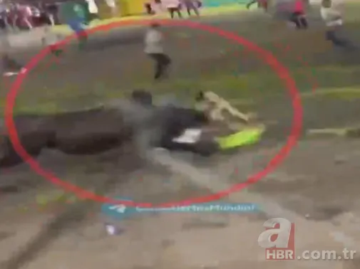 Son arenası oldu! Boğanın boynuz darbeleriyle hayatını kaybetti 1