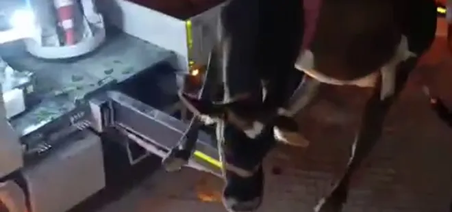 Evin damında çıkan inek mahsur kaldı! Ekipler 1 saatlik çalışmayla hayvanı vinçle kurtardı