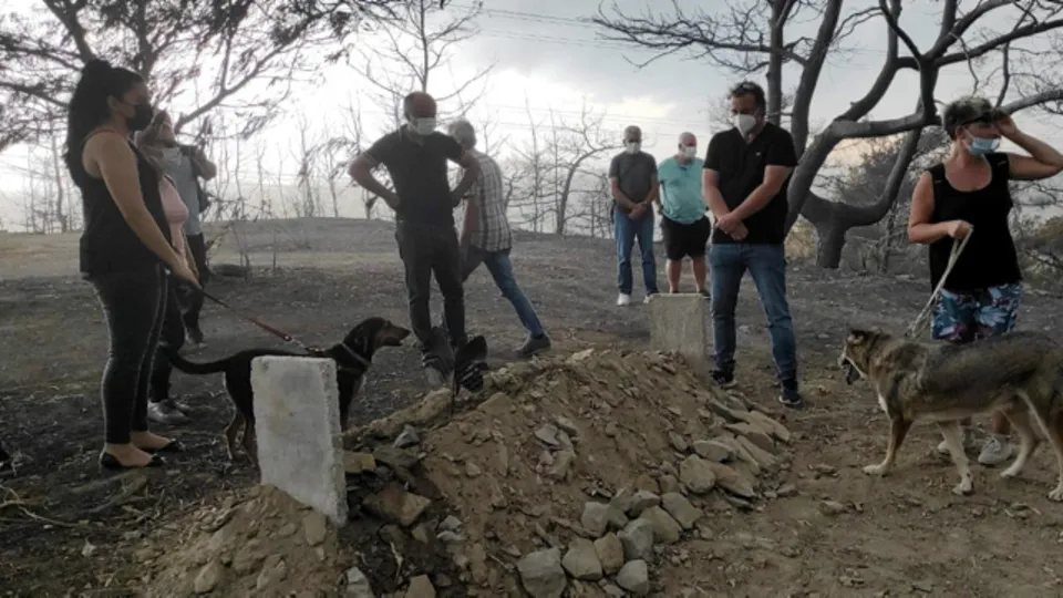 Cennet köy Kalemler kurtuldu! İşte Kalemler'in son hali