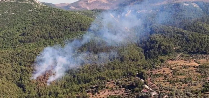 Milas’ta korkutan orman yangını!