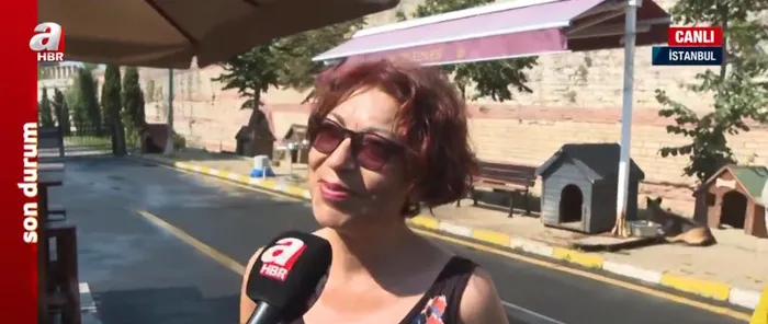 Karne hediyeleri sokakta! Aralarında tavşan bile var... Sahipsiz köpek sorunu nasıl çözülecek?