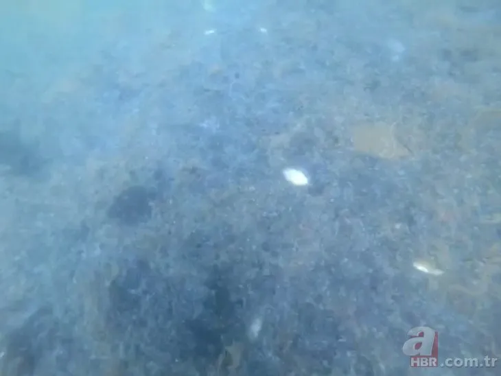 Marmara Denizi'nde kabus bitmiyor! Su altını da sardı