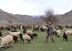 Çoban çayını içerken sürü drone'a emanet: Çevirmesi 30 saniye