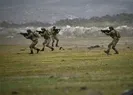 Çiftçilere saldıran teröristlere ağır darbe!