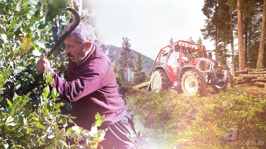 Mazotun tamamı, gübrenin yarısı devletten: Çiftçinin maliyeti düşecek 1