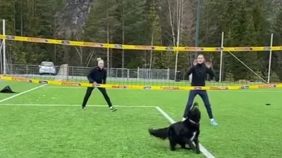 Köpek voleybolculara taş çıkarttı!