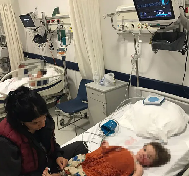 ankarada-pitbull-dehseti-iki-kardes-saldiri-sonucu-yaralandi-1764530398973.jpg Foto: İHA