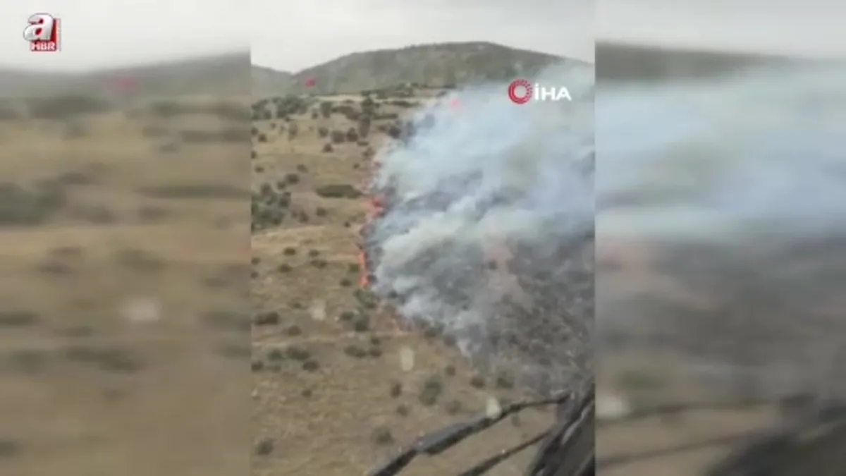 İzmir'de zeytinlik alandaki yangın kontrol altına alındı