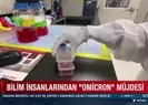 Bilim insanları duyurdu: Ölüm oranı...
