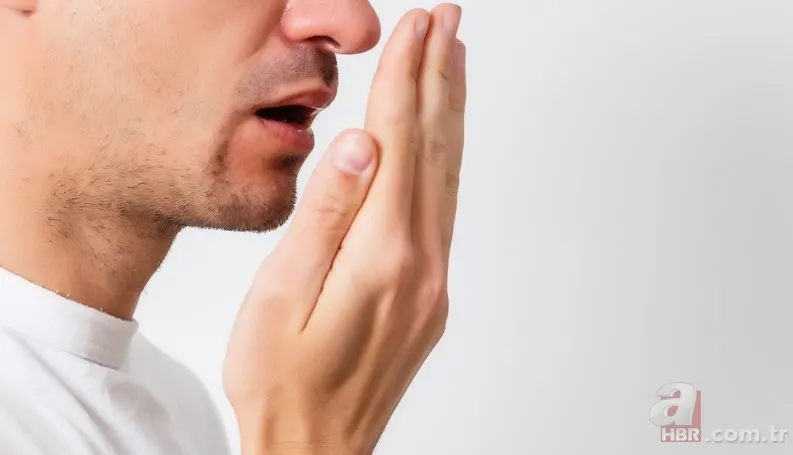 Meğer 1000 yıl önce yazmış! İbni-i Sina'nın şifa dağıtan tarifleri! Hastalıkları kökünden kazıyor! İşte o reçete 7