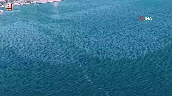 İzmir Körfezi’nde çevre kirliliği