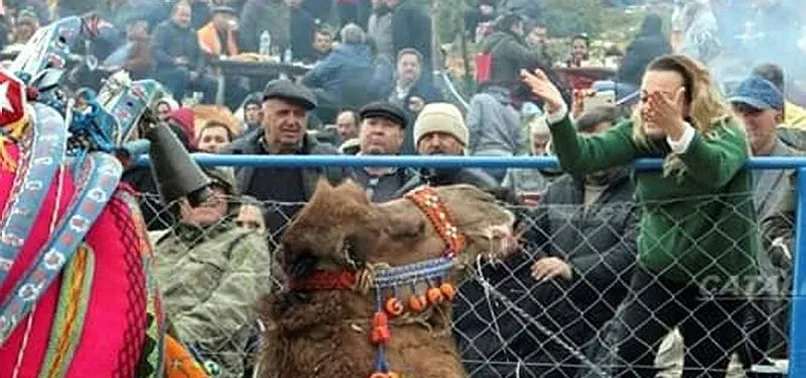 80 milyonluk vurgunda flaş gelişme! Süperstar Alev'in develerine el konuldu