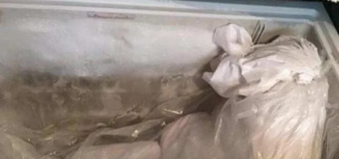 Japonya’da şoke eden olay! Annesinin cesedini 10 yıl derin dondurucuda sakladı