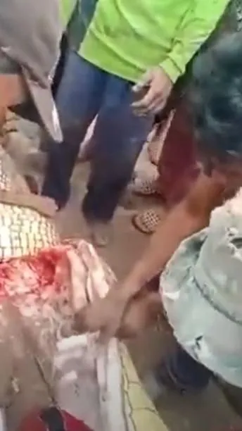 Timsahın karnından insan çıktı! Kan donduran anlar böyle görüntülendi...