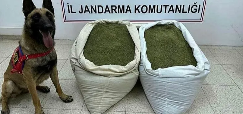Bingöl'de operasyon: 45 kilogram esrar ele geçirildi