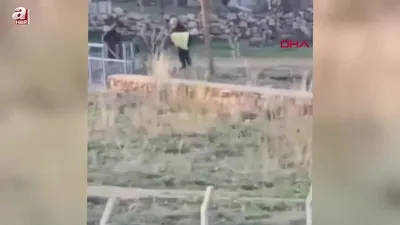 Sopalı şiddete uğrayan eşek öldü!