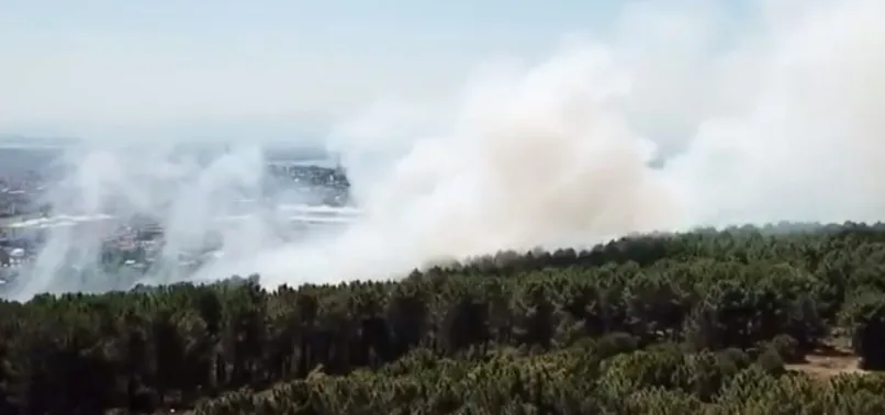 Son dakika: Kartal Aydos'ta ormanlık alanda yangın