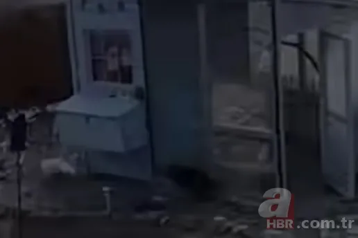 Tavuk kümesine saldıran atmaca neye uğradığını şaşırdı 🦅 Bu kümesin horozu benim 🐓 O anları milyonlar izledi 26