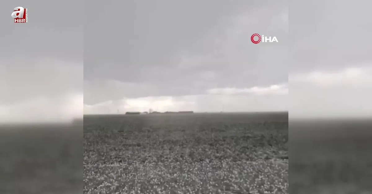 Konya'da çiftçilerin yağış sevinci!