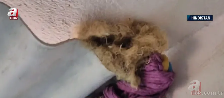 Kapıdan gelen sesler üzerine dışarıya çıkınca şoke oldu! İplik sarılı yumakta... 2