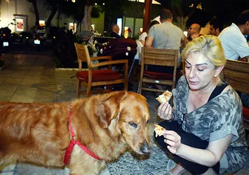 Muazzez Ersoy köpeğine pizza yedirdi