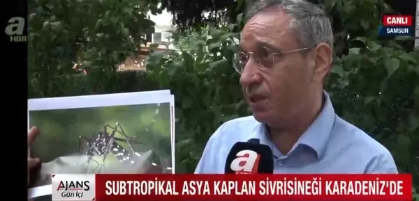 Karadeniz için Asya Kaplan Sivrisineği uyarısı