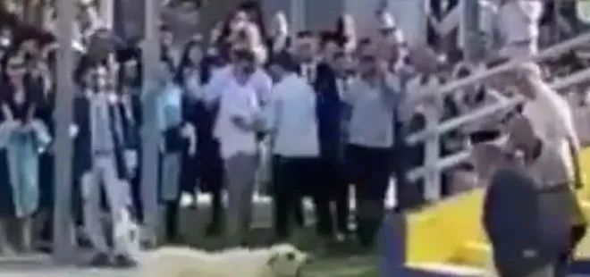 İzmir’de korku dolu anlar! Başıboş köpek mezuniyet töreninde insanlara saldırdı