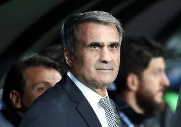 Şenol Güneş'ten flaş Milli Takım sözleri!
